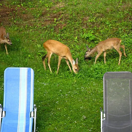 Appartement Waldblick By Interhome *