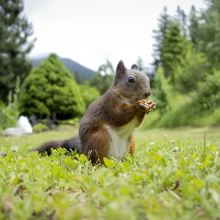 Waldblick By Interhome * Зеефельд в Тироле