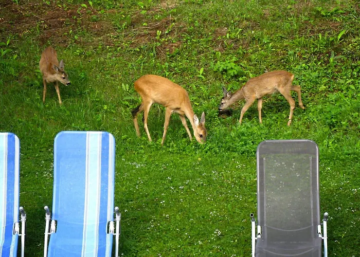 Апартаменты Waldblick By Interhome *