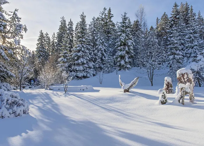 Waldblick By Interhome 蒂罗尔-泽费尔德